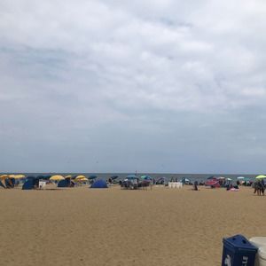 Meet your Posher, Cathy